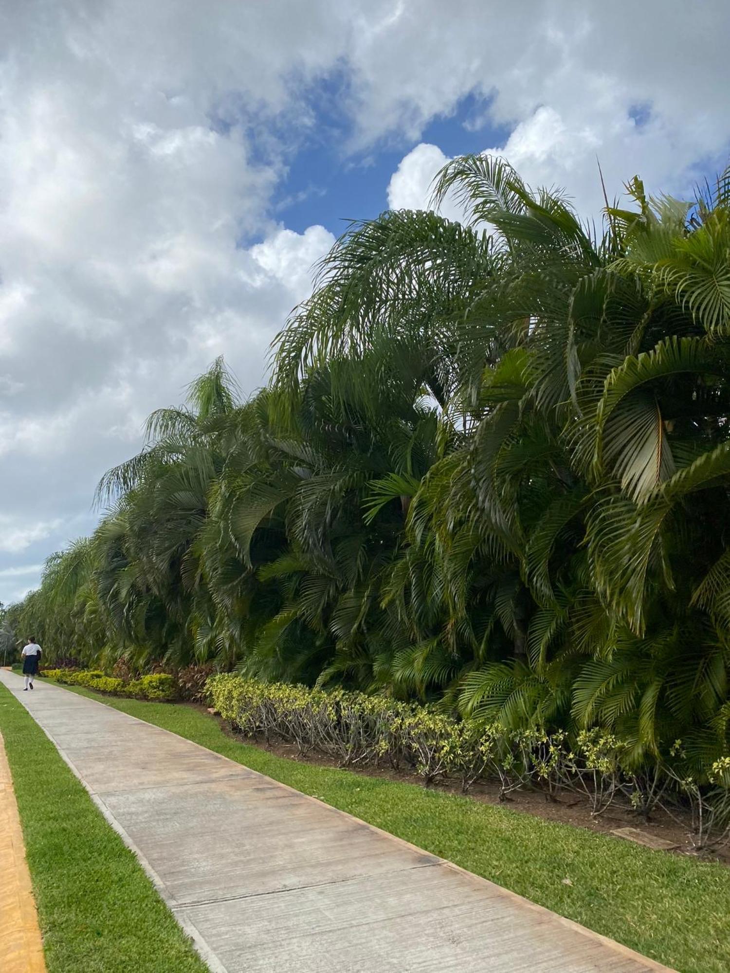Enjoy Cancun Ngoại thất bức ảnh